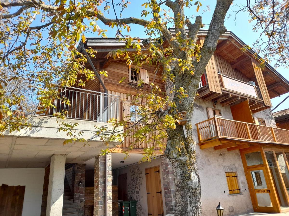 B&B Chalet Dolomiti Sant'Orsola Exterior photo